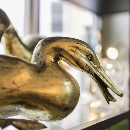 Отель Sebnitzer Hof By Steiger (adults Only)