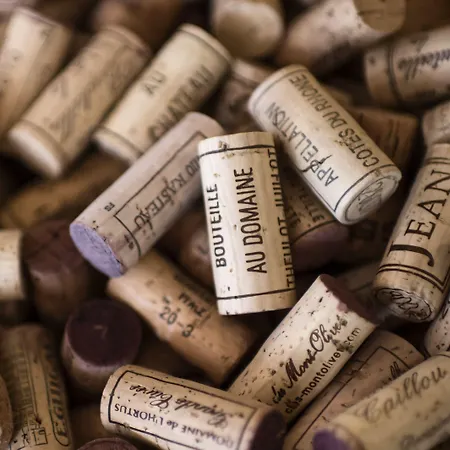 Sebnitzer Hof By Steiger (adults Only)